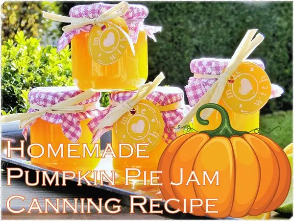 Homemade Pumpkin Pie Jam Canning Recipe