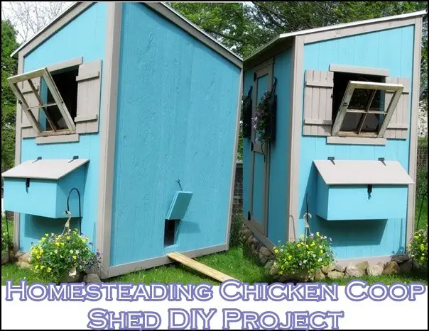 Homesteading Chicken Coop Shed DIY Project