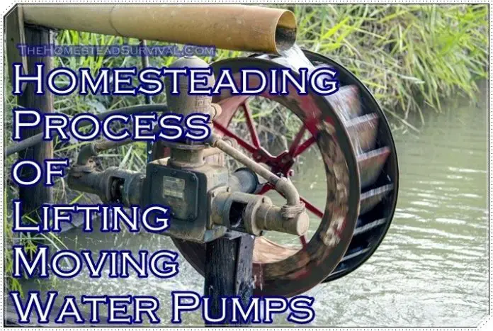 Homesteading Process of Lifting Moving Water Pumps