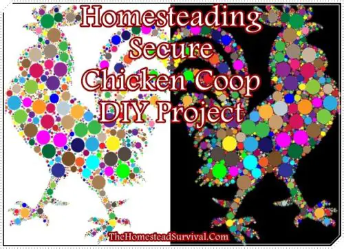 Homesteading Secure Chicken Coop DIY Project 
