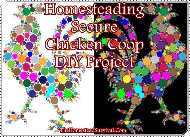 Homesteading Secure Chicken Coop DIY Project