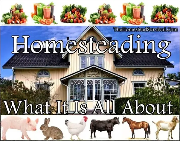 Homesteading What It Is All About