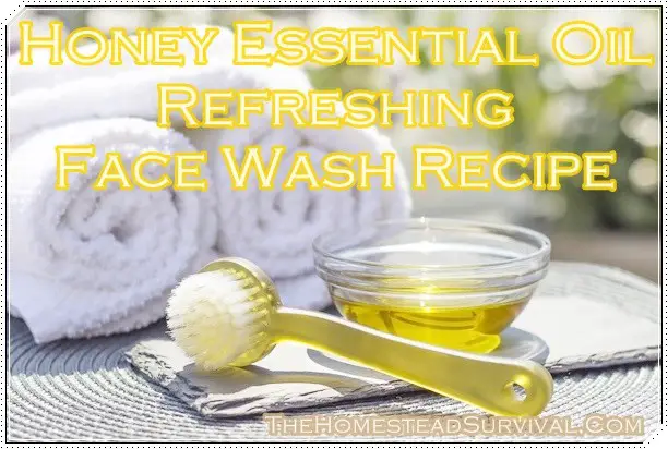 Honey Essential Oil Refreshing Face Wash Recipe for Natural Beauty