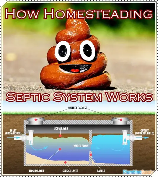 How Homesteading Septic System Works