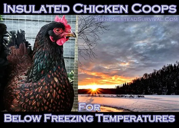 Insulated Chicken Coops For Below Freezing Temperatures