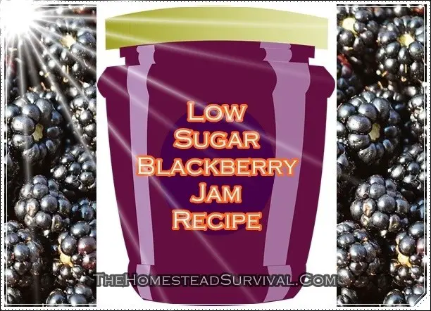 Low Sugar Blackberry Jam Canning Recipe - Homesteading