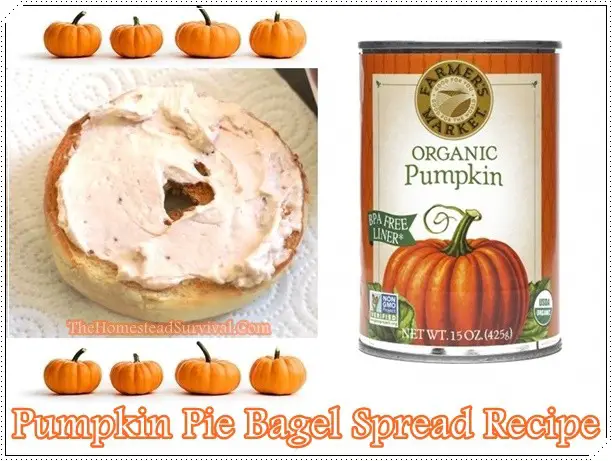 Appetizing Pumpkin Pie Bagel Spread Recipe