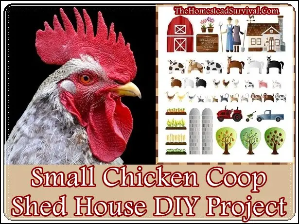 Small Chicken Coop Shed House DIY Project 