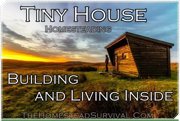 Tiny House Building and Living Inside
