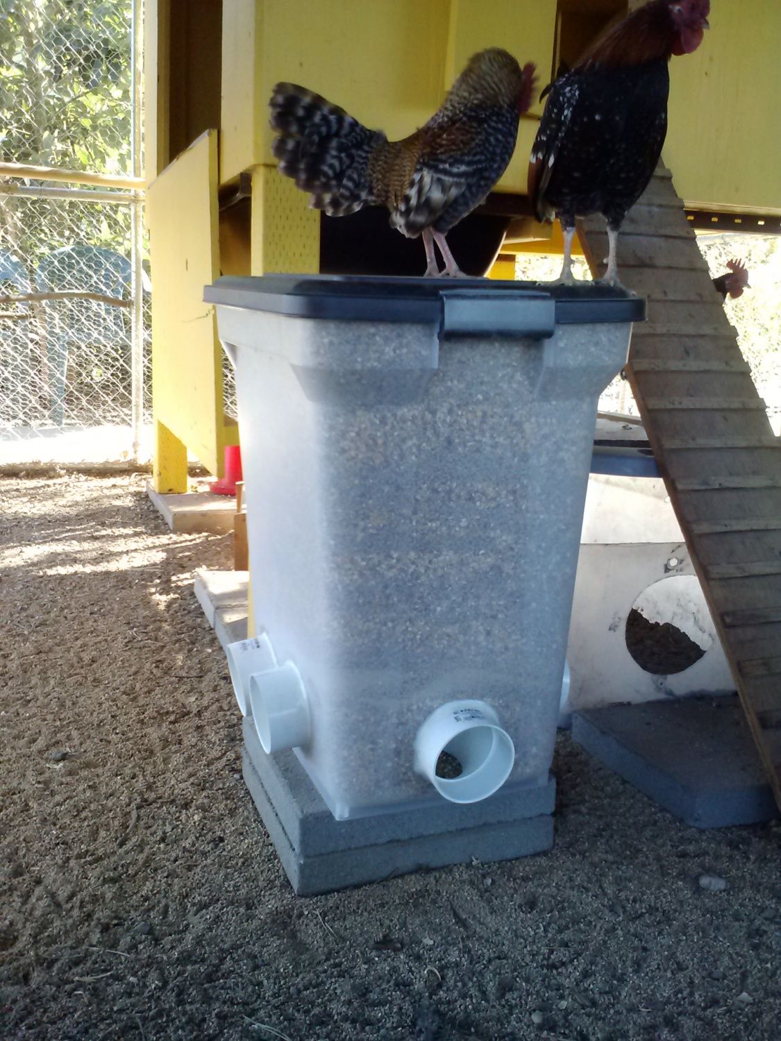 diy chicken feeder from cat food container