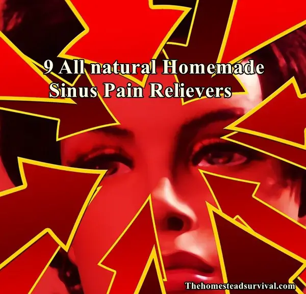9 All natural Homemade Sinus Pain Relievers