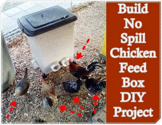Build No Spill Chicken Feed Box DIY Project