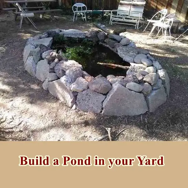 Build a Pond in your Yard
