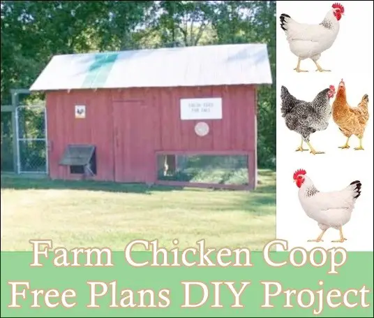 Farm Chicken Coop Free Plans DIY Project