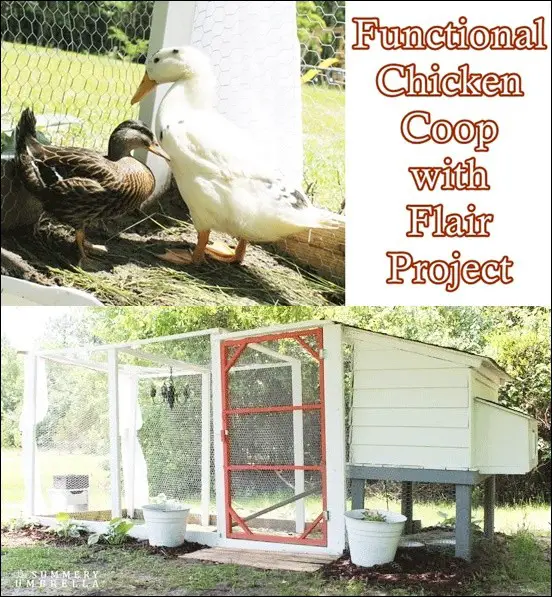 Functional Chicken Coop with Flair Project
