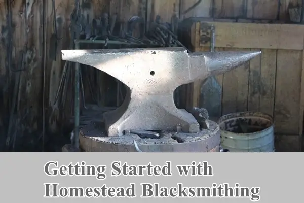 Getting Started with Homestead Blacksmithing