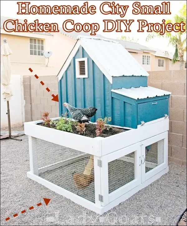 Homemade City Small Chicken Coop DIY Project