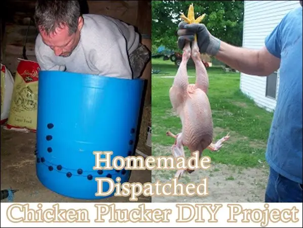 Homemade Dispatched Chicken Plucker DIY Project