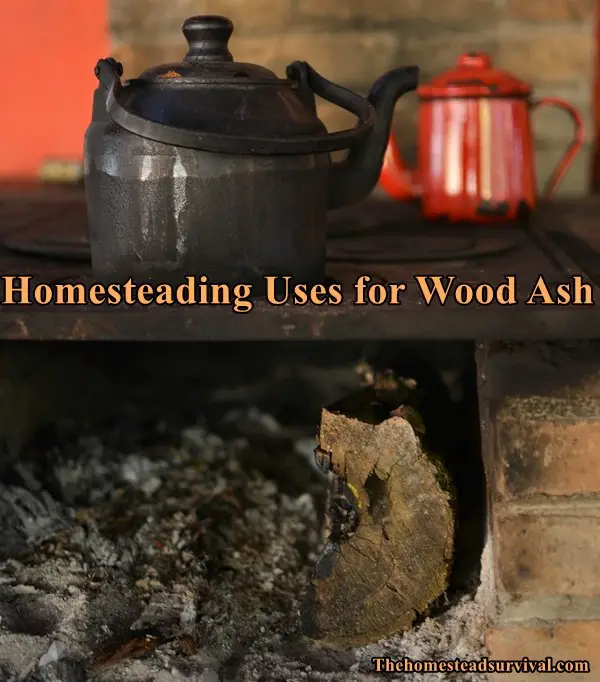 Homesteading Uses for Wood Ash