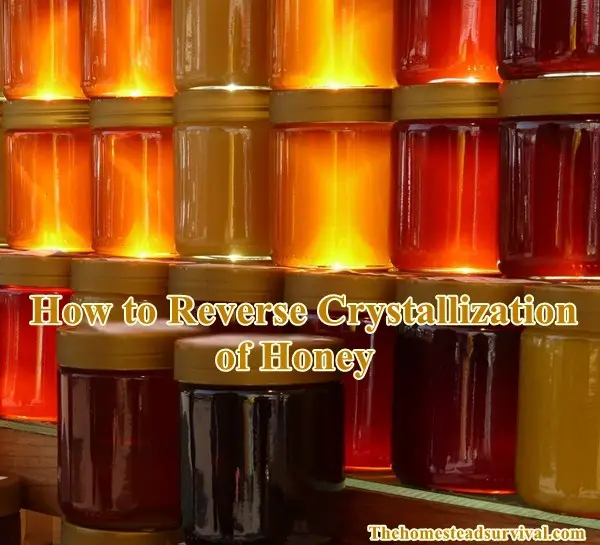 How to Reverse Crystallization of Honey