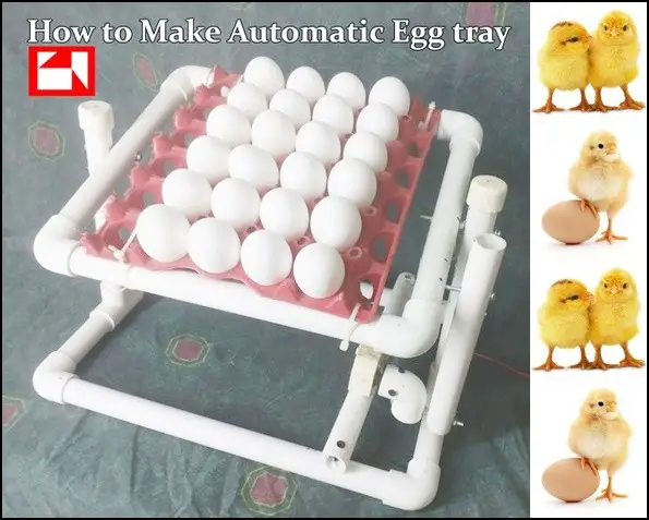 Incubator Tray for Hatching Chicken Eggs Project