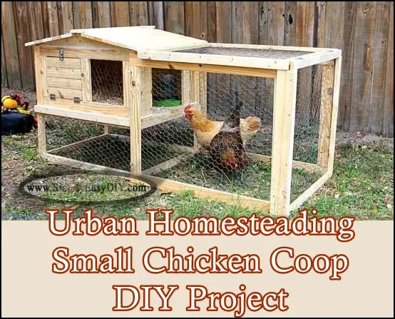 Urban Homesteading Small Chicken Coop DIY Project