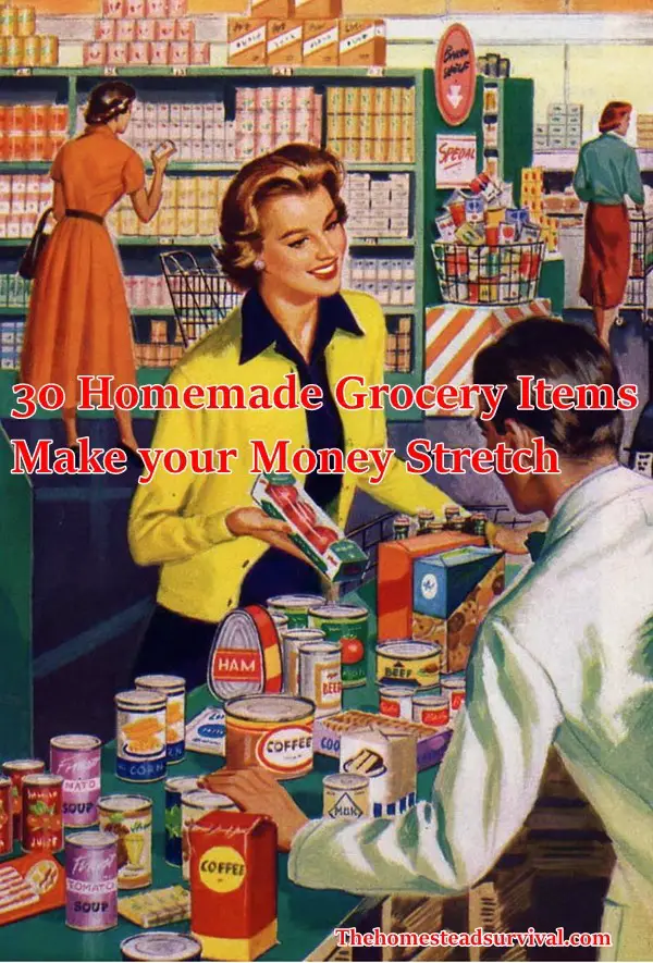 30 Homemade Grocery Items Make your Money Stretch