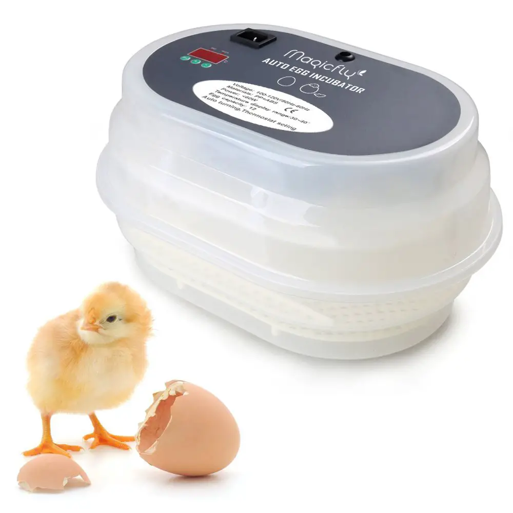 Build Egg Incubator Ducks Chickens DIY Project