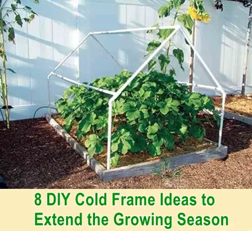8 DIY Cold Frame Ideas to Extend the Growing Season