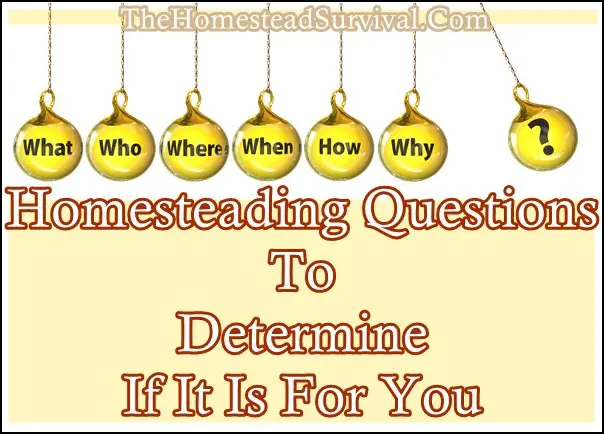 Homesteading Questions To Determine If It Is For You