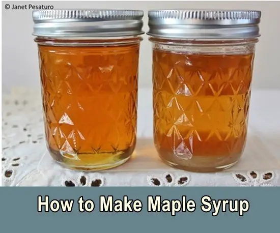 How to Make Maple Syrup in the Backyard