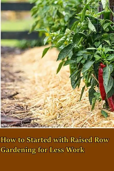 How to Started with Raised Row Gardening for Less Work 