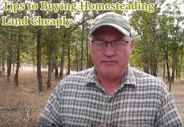 Tips to Buying Homesteading Land Cheaply