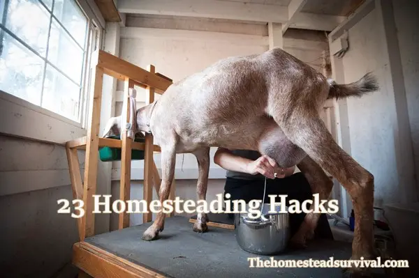 23 Homesteading Hacks