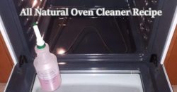 All Natural Oven Cleaner Recipe 250x131 