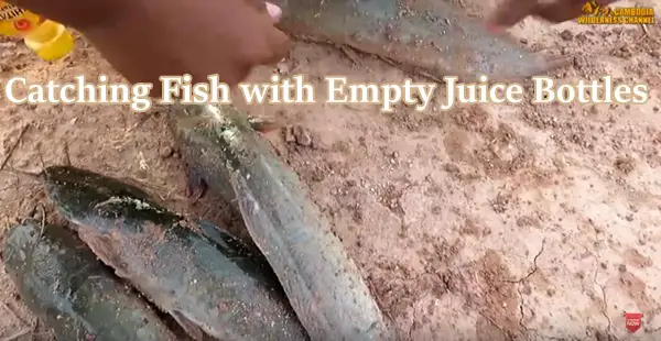 Catching Fish with Empty Juice Bottles