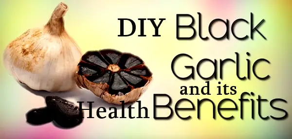 DIY Black Garlic and Health its Benefits 