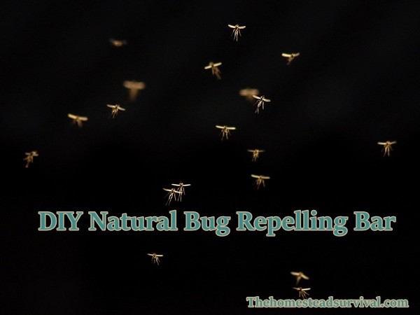 DIY Natural Bug Repelling Bar