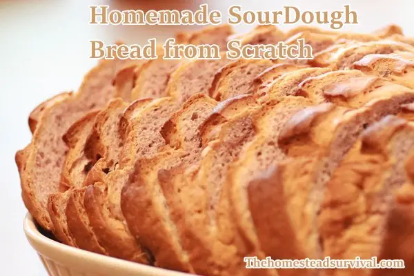 Homemade Sourdough Bread from Scratch