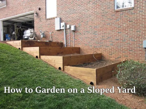 How to Garden on a Sloped Yard