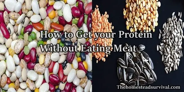 How to Get your Protein Without Eating Meat