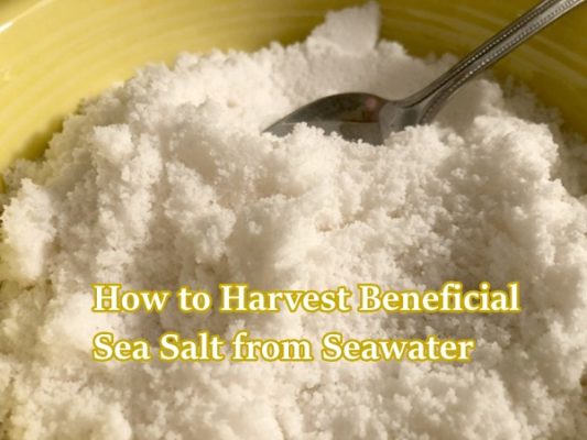 How to Harvest Beneficial Sea Salt from Seawater 