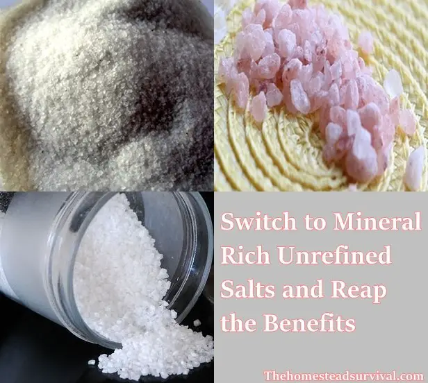 Switch to Mineral Rich Unrefined Salts and Reap the Benefits