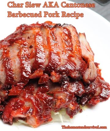 Char Siew AKA Cantonese Barbecued Pork Recipe - The Homestead Survival