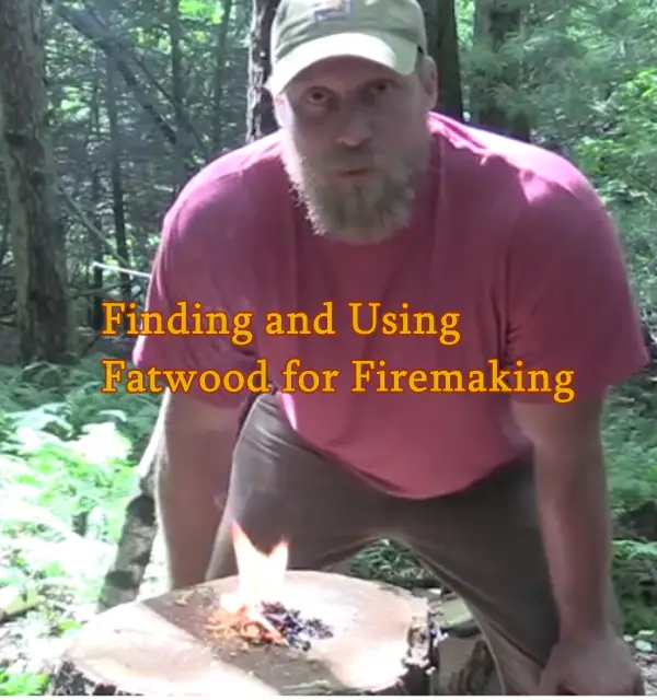 Finding and Using Fat Wood for Fire Making 