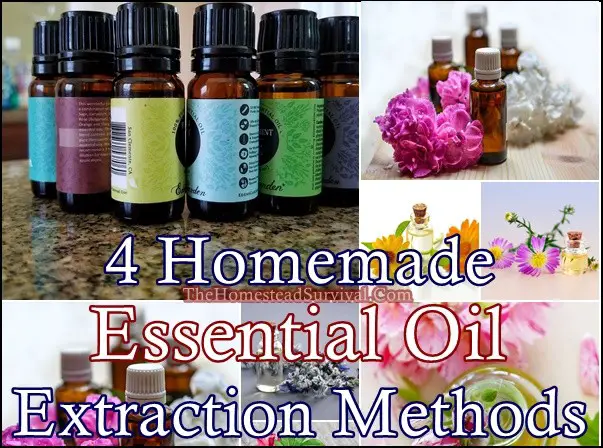 4 Homemade Essential Oils Extraction Methods
