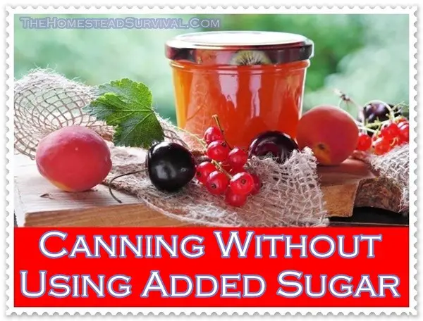 Canning Without Using Added Sugar