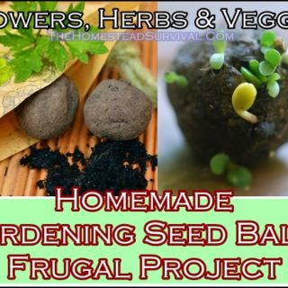 Homemade Gardening Seed Balls Frugal Project