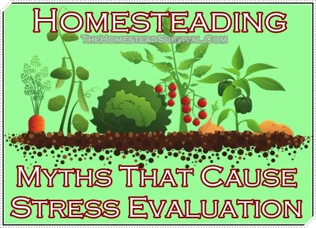 Homesteading Myths That Cause Stress Evaluation 