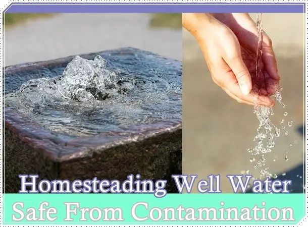 Homesteading Well Water Safe From Contamination
